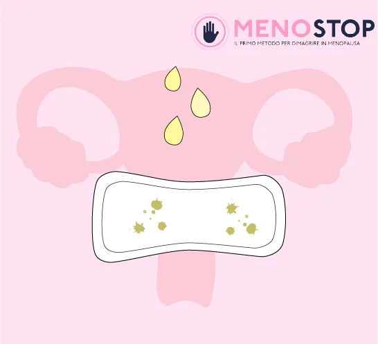 perdite bianche in menopausa